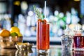 Bloody-Mary-The-Ivy-Collection-Paul-Winch-Furness.jpg