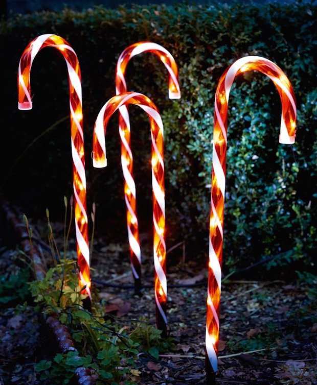 Candy Cane Lights - Squire's copy.jpg