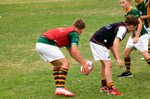 lions-sport-academy-kids-rugby-holiday-camps.jpg