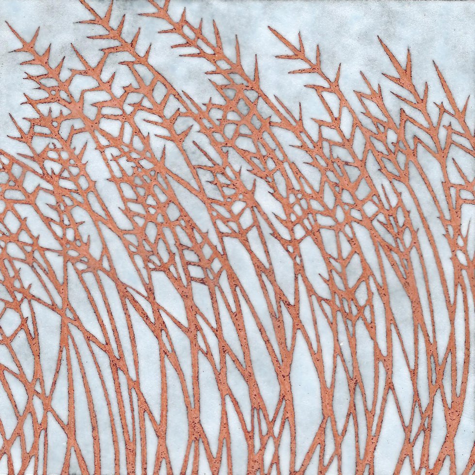 Grasses - Janine Partington 2017 - vitreous enamel on copper panel.jpg