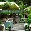 the-swan-inn-hotel-pub-beer-garden-chiddingfold.jpg