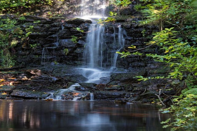 Tillingbourne Waterfall