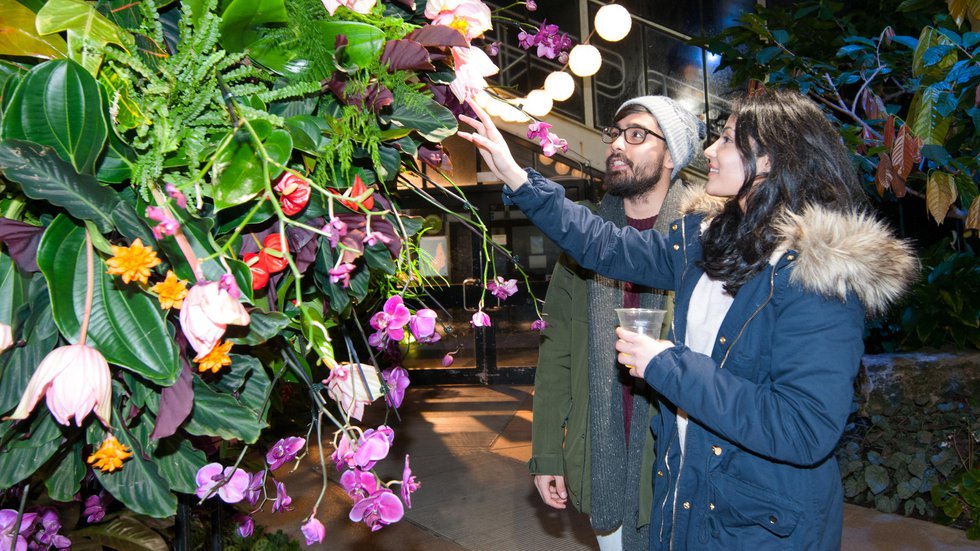 Couple exploring Orchid Festival - After Hours 2019 crop.jpg