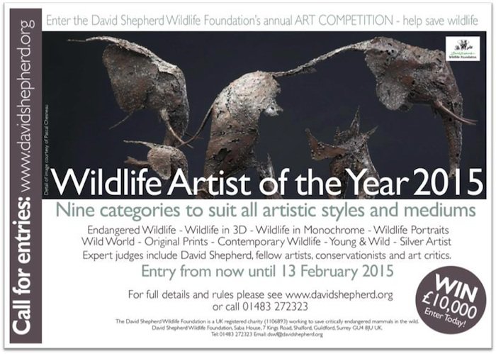 David Shepherd Wildlife Artist of the Year competition