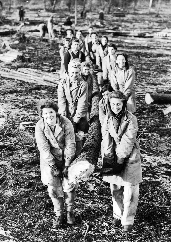 14. Women's Timber Corps 1942 Culford near Bury St. Edmonds, Suffolk.jpg