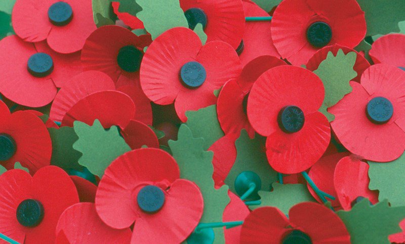 man and woman steal poppy collection tins