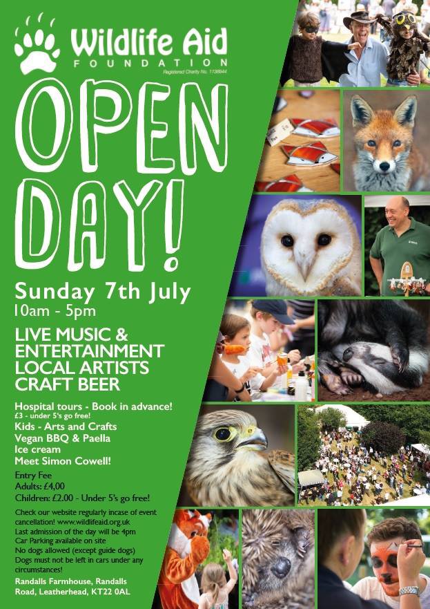 Open Day poster.jpg