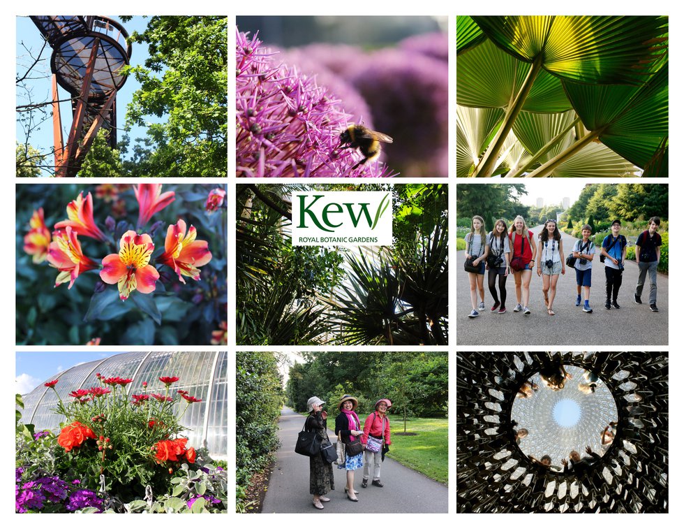 Kew collage and logo will w.jpg