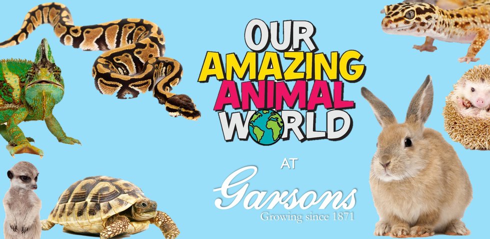 OUR AMAZING ANIMAL WORLD IMAGE WITH GARSONS.jpg