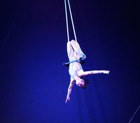 Amazing acrobatics (1) - Squire's Christmas Circus.JPG