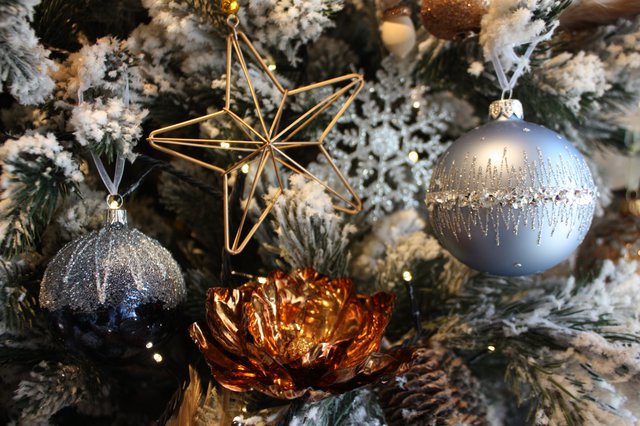 Christmas At Home, Courtesy of Stagsden Christmas Trees (11).JPG