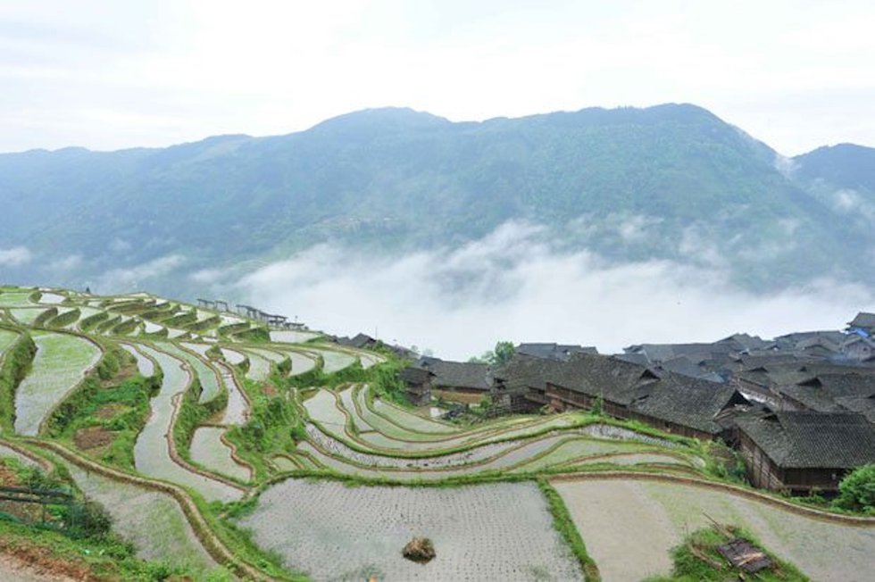 Jiabang-Terraces---Sisters-Rice-Terraces.jpg