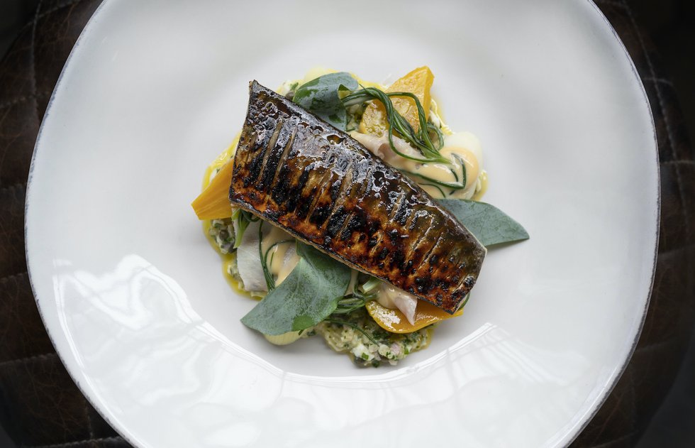 Mark Kempson's Scorched fillet of Cornish mackerel, smoked eel, golden beetroots, sweet mustard, ice lettuce. Pls credit @gbchefs.jpg