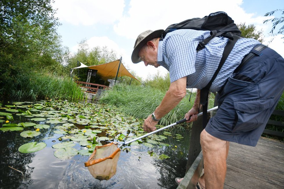 Pond Dipping for Adults WWT...jpg