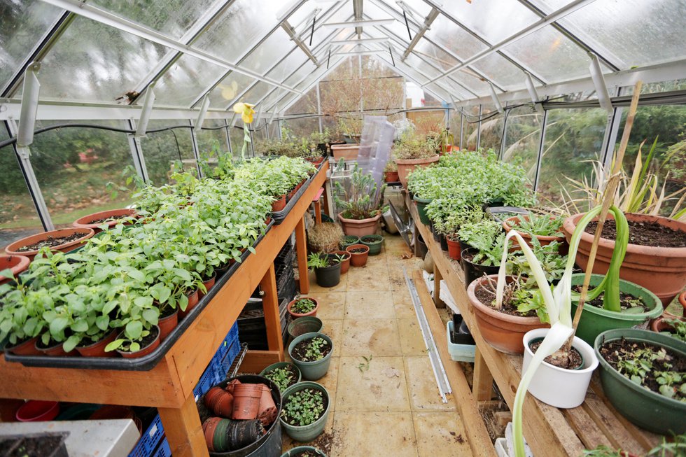 Greenhouse-at-Speirs-House-Care-Home.jpg
