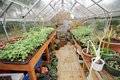 Greenhouse-at-Speirs-House-Care-Home.jpg