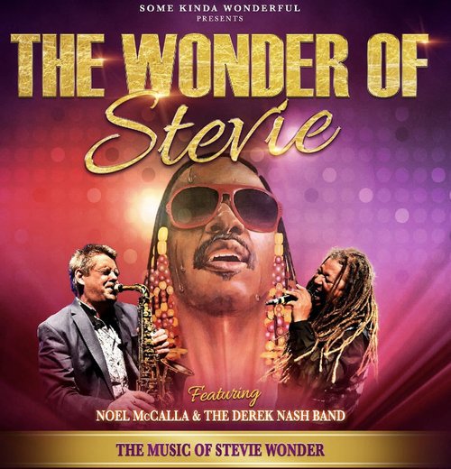 The+wonder+of+Stevie.jpg