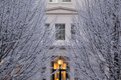 Coworth Park Exterior trees and snow.jpg