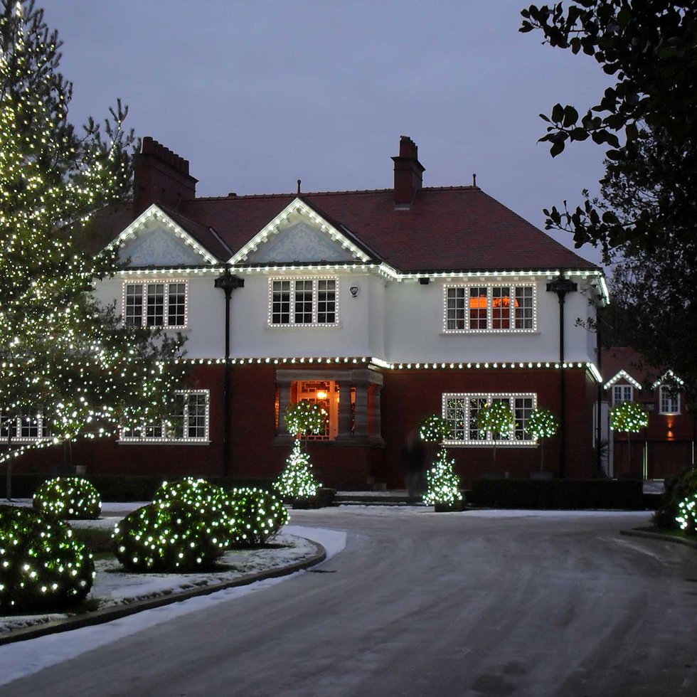 exterior christmas tree lights.jpg