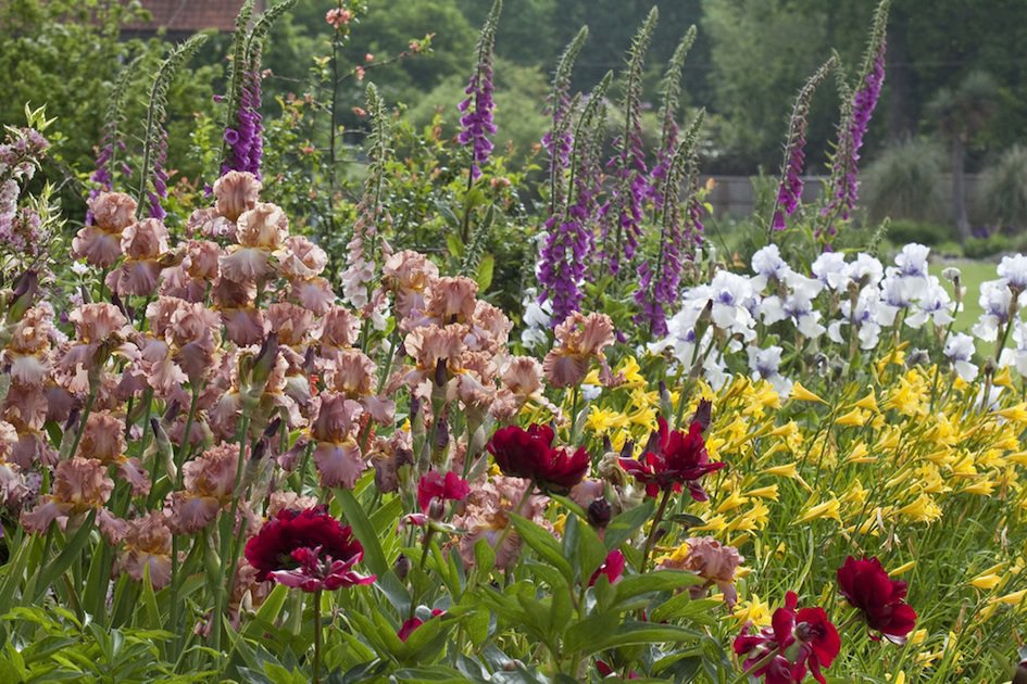 RHS Garden Wisley - All about Plants cr RHS Carol Sheppard.jpg