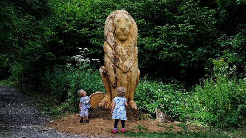 aslan-at-new-nature-trail-in-banstead-woods-and-chipstead-downs.jpg