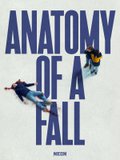 anatomy of a fall (1).jpeg