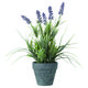 garden lavender.jpg