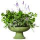 garden bowl.jpg