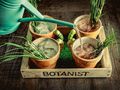 Botanist watering can.jpg